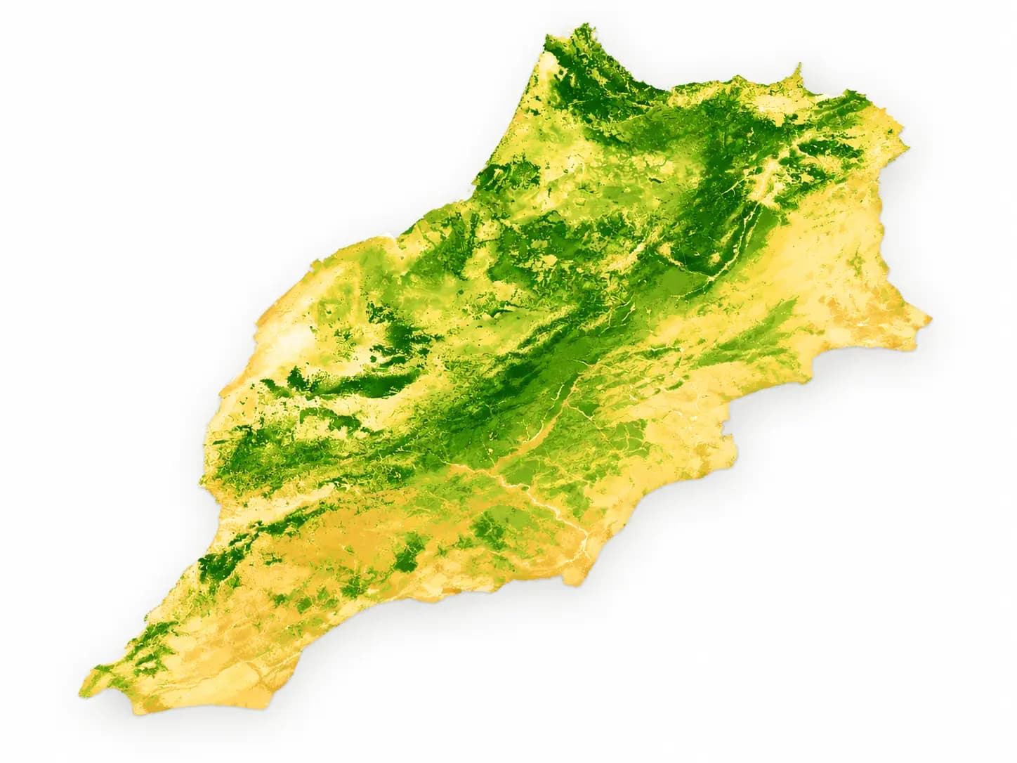 Soil Organic Carbon raster map of Morocco